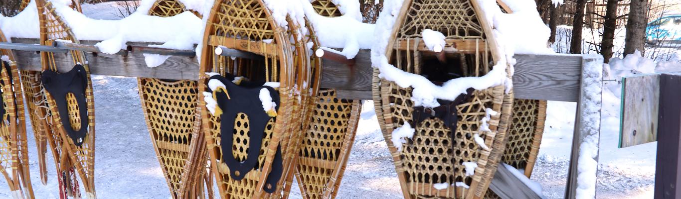 FLX MORNING PODCAST – Steve Laros, Finger Lakes Visitors Connection