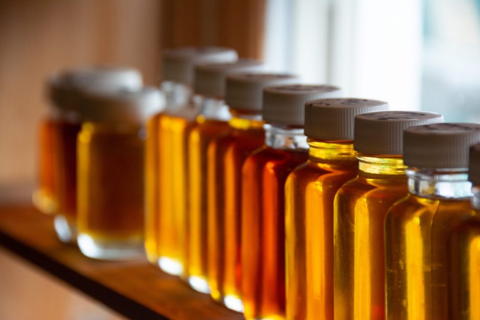 FLX MORNING PODCAST – Steve Laros, Theresa VanWormer, Finger Lakes Visitors Connection