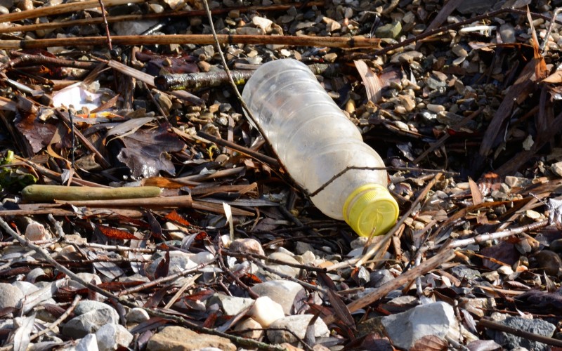 Environmental Advocates Urge Lawmakers to Boost Funding