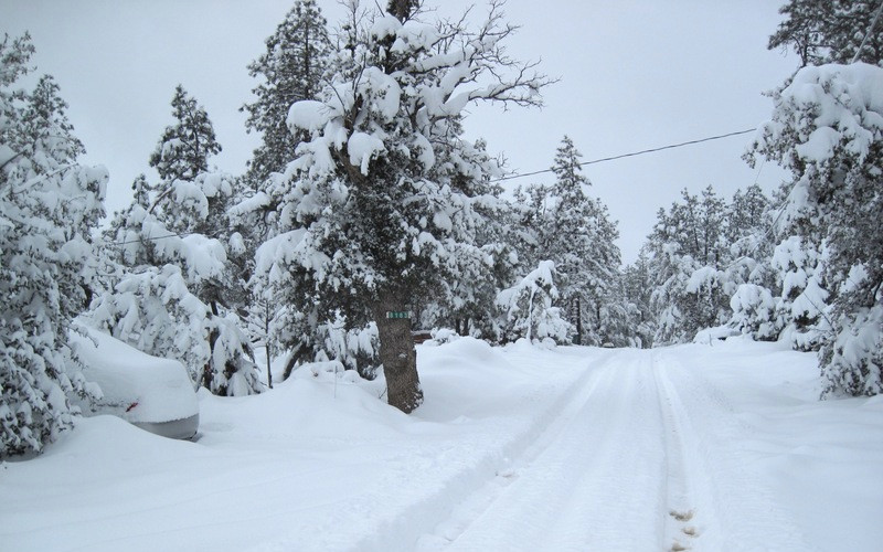 Governor Declares State of Emergency Ahead of Winter Storm