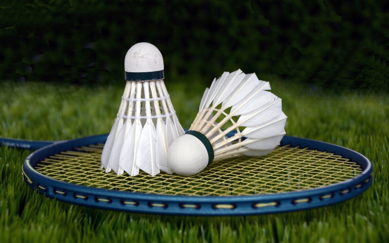 Aurora Summer Camp Hosting Donation & Volunteer Day