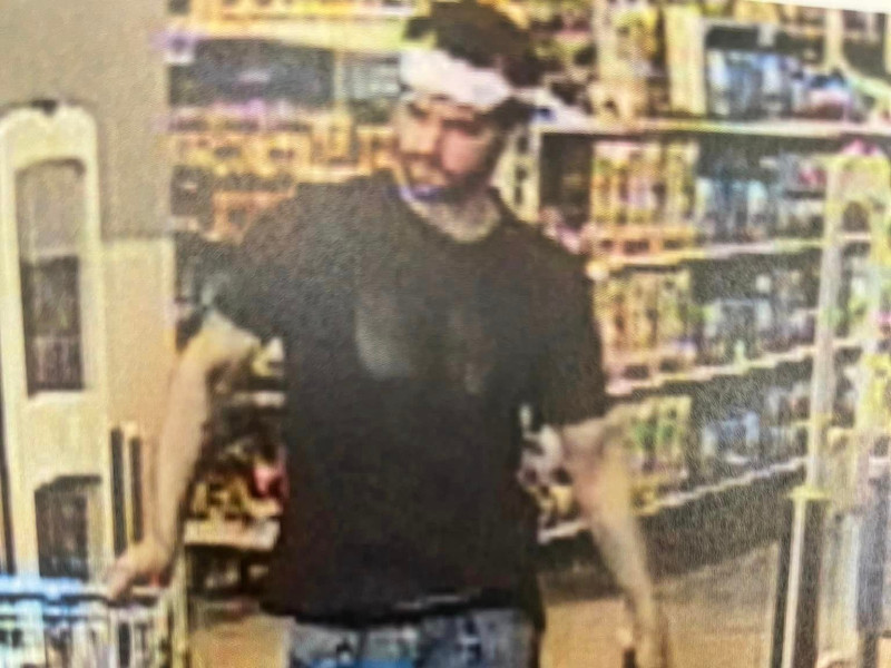 Watkins Glen Police Looking for Larceny Suspect
