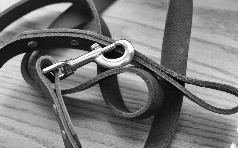 Extreme Cold Exposure Leads to Animal Cruelty Arrest in Ontario County