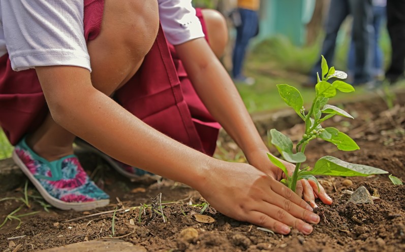 United Way Seeking Volunteers for FLX Day of Caring