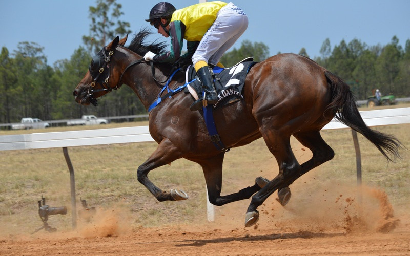 Seneca Nation Bill Raises Concerns for Racinos