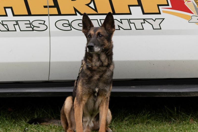 Yates County to Dedicate K9 Memorial Wednesday