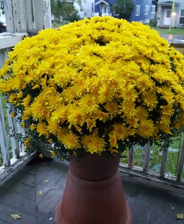 Soldiers & Sailors Auxiliary Taking Mum Orders