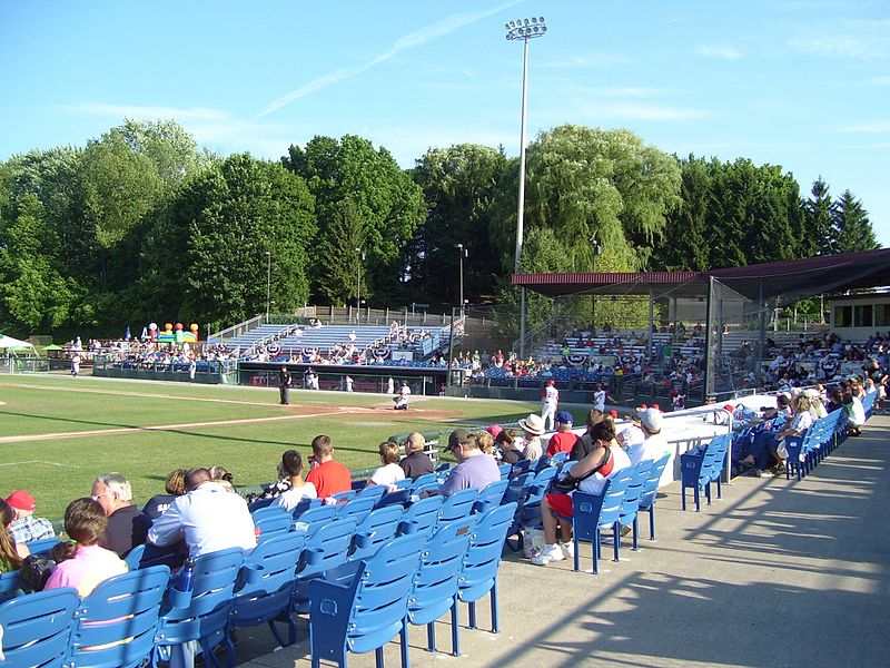 Doubledays VP Leaves, Ohmann Made Sole Owner