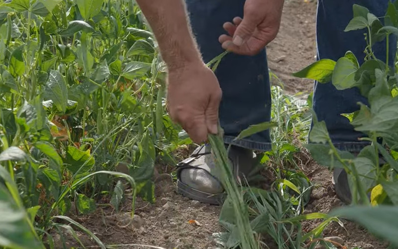 Yates County Legislature Approves Expansion of Ag District #1