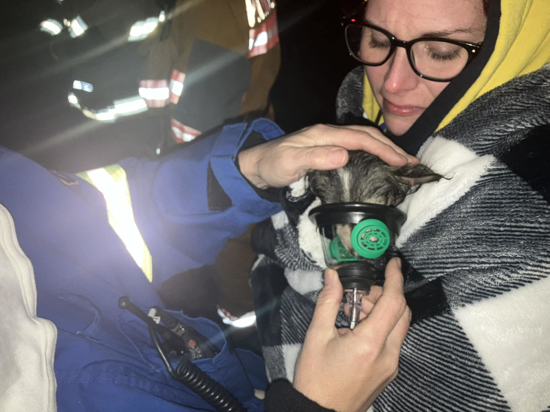 Dog Rescued from House Fire in Cayuga County