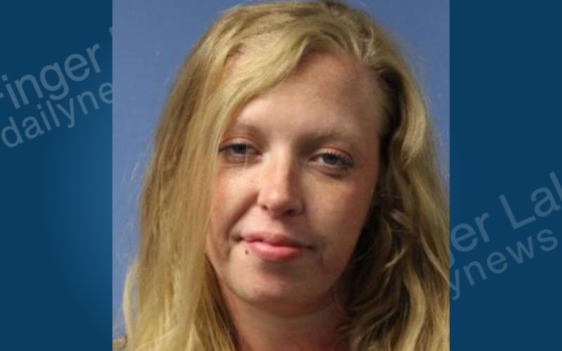 Sodus Woman Arrested on Petit Larceny Charge