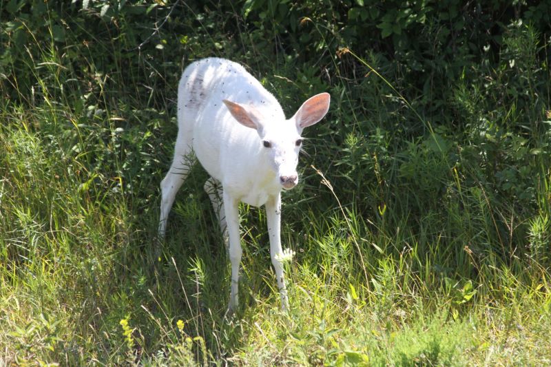 First Ever Tour of the Former Seneca Army Depot Q-Area