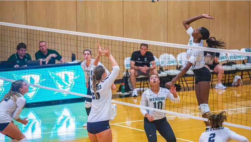 Herons Volleyball Improves to 20-3