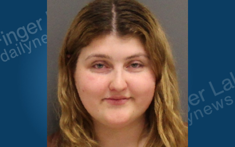 Domestic Disturbance Leads to Felony Arrest in Seneca Falls