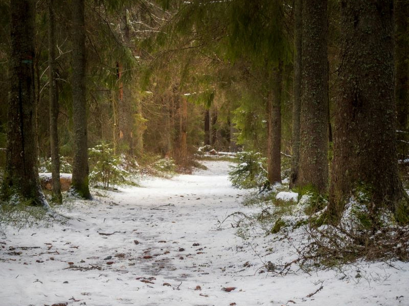 Ithaca Parks Provide Guidance for Safe Winter Visits