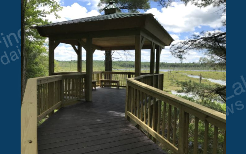 DEC Acquires Southern Tier Land to Grow Forest