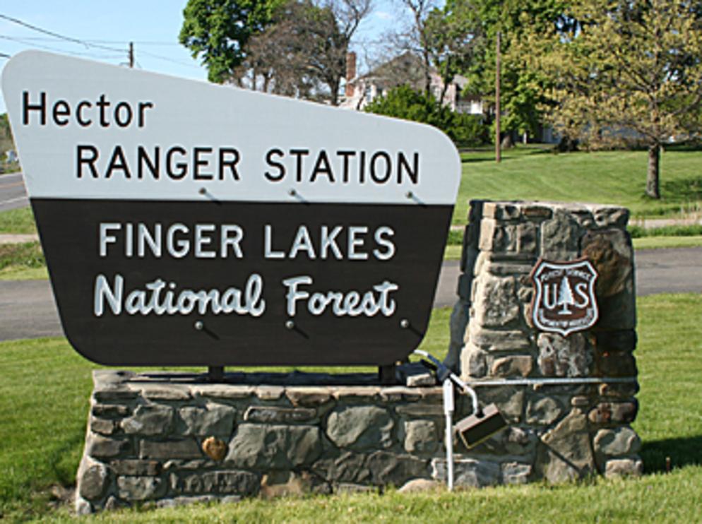 Trump Could Cut Some of the Finger Lakes National Forest