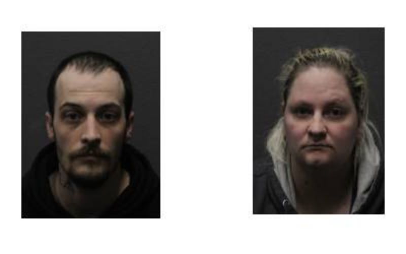 Two Bath Residents Arrested on 16 Counts of Animal Cruelty