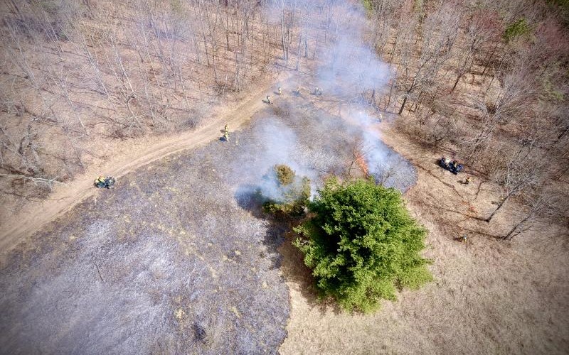 DEC Conducts Prescribed Burns in Steuben County