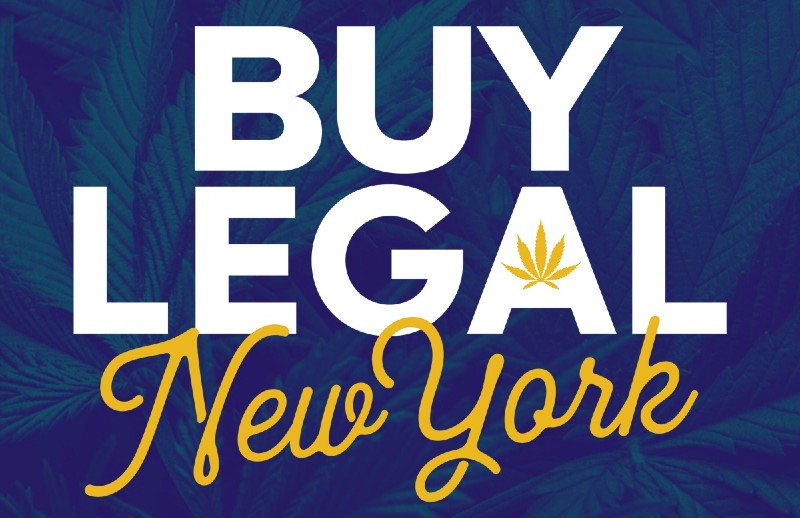 NY Launches Series to Educate Young People on Cannabis