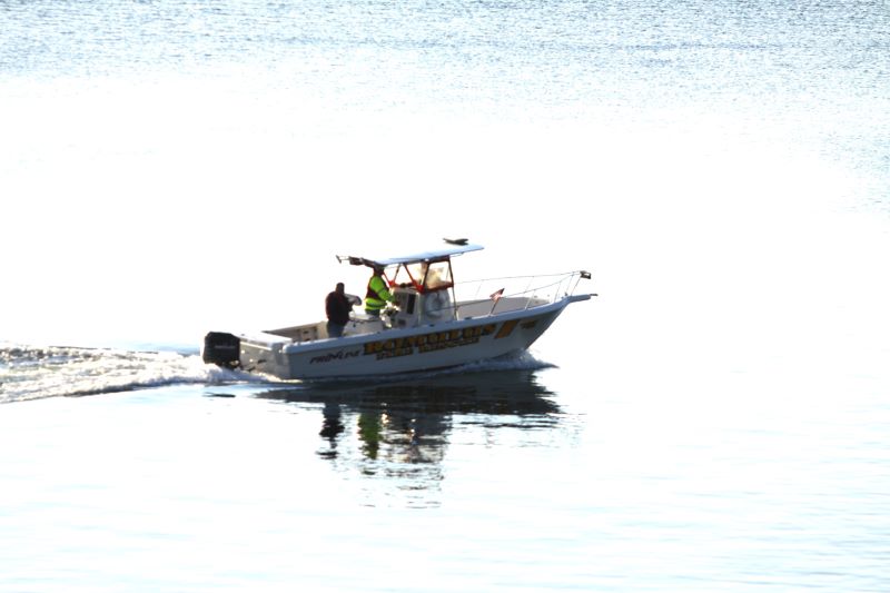 UPDATE: Sunday Suicide As Car Drives Into Cayuga Lake; Sheriff’s Won’t Release the Name of The Ontario County Woman