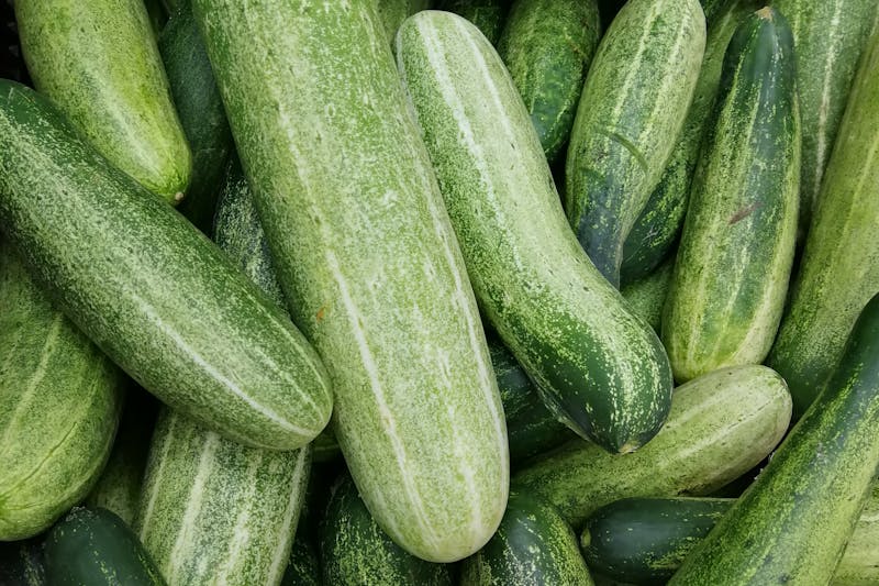 Ag & Markets Issues Alert Over Cucumbers and Salmonella