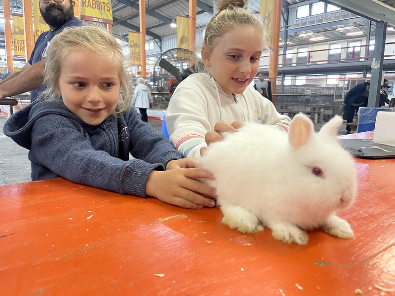 Friday at the New York State Fair