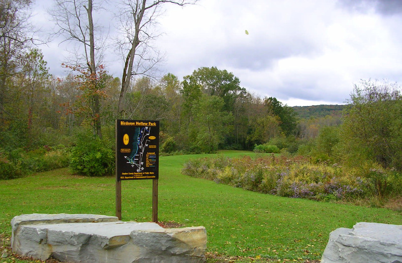 DEC Closes Foot Bridge at Bath State Forest for Safety Repairs