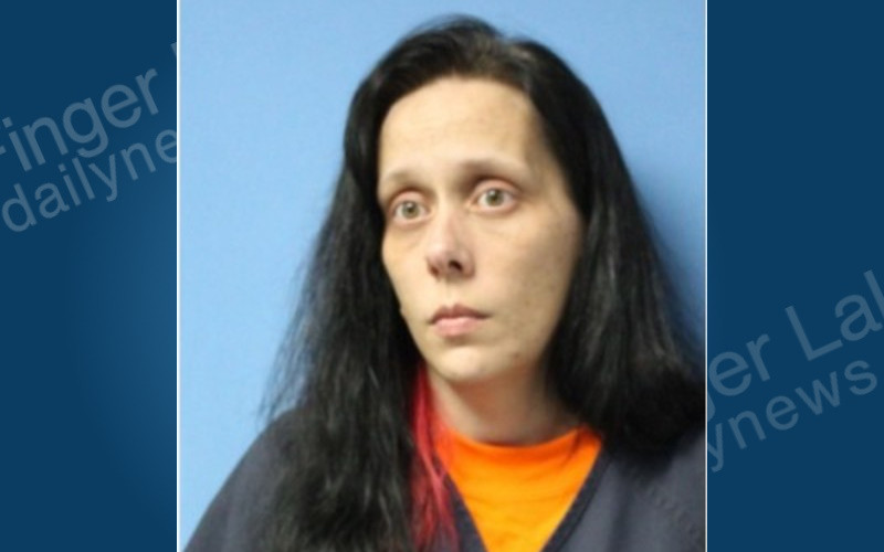 Sodus Woman Arrested Following Domestic Incident Involving Children