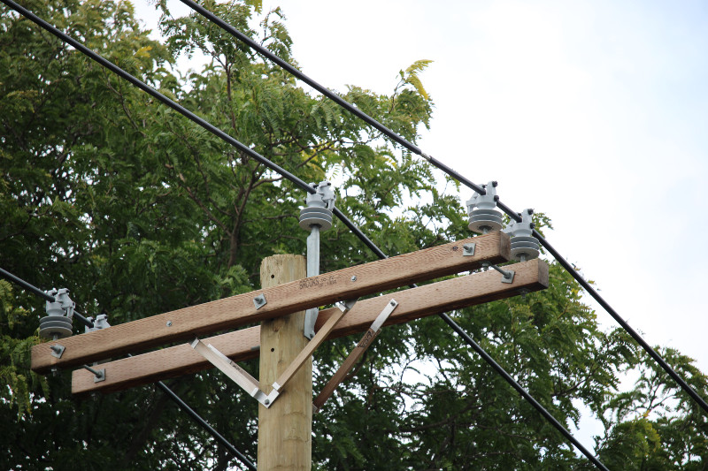 NYSEG, RG&E Expanding Use of Tree Wire to Reduce Power Outages