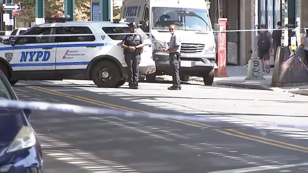 NYC man charged with murder after intentionally hitting 16-year-old girl with his car: DA