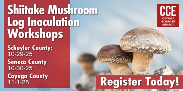 Shiitake Mushroom Log Inoculation Workshops