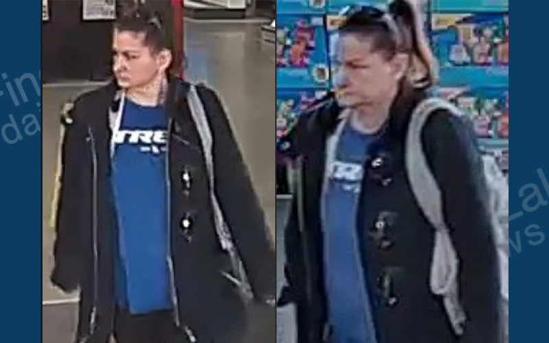 Ithaca State Police Seek Help Identifying Larceny Suspect