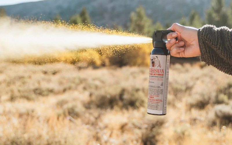 Police Arrest Ithaca Man Following Bear Spray Incident