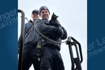 Paws and Ladders: Kitten Rescue Brings Smiles to Canandaigua