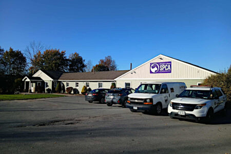 Auburn SPCA Seizes Hundreds of Animals