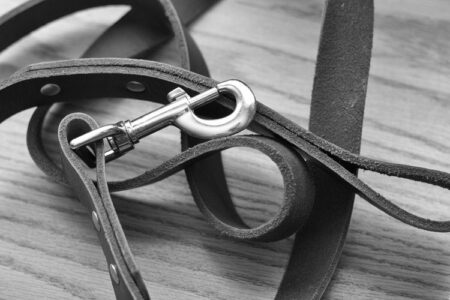 Two Ontario County Women Charged With Animal Cruelty