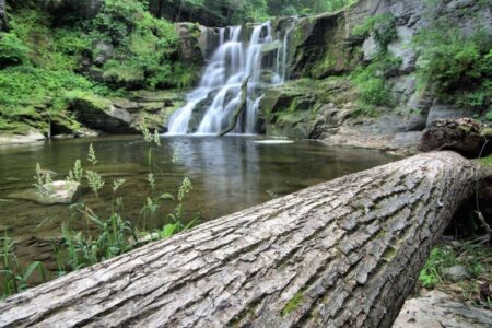 Land Trust Protects 74 Acres at Iconic Kashong Glen